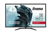 Näyttö - 43" iiyama G-MASTER Punainen Eagle - G4380UHSU-B1