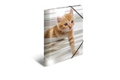 Muut kansiot, esijärjestäjät ja kirjoitusalustat - HERMA Elasticated folder glossy Eläimet A4 PP Kissat - 19328