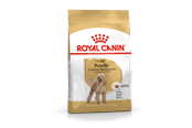 Koirat - Royal Canin Poodle Aikuinen 1,5 kg - 3182550743174