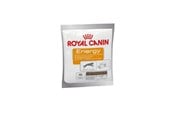Koirat - Royal Canin Energy Treats for Dog 50g - 3182550784641