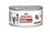 Koirat - Royal Canin Eläinlääkinnällinen ravintolisä koirille/kissoille, palautumiseen 195g - 9003579307717