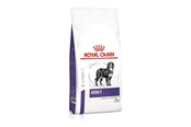 Koirat - Royal Canin Adult Large Dog 13kg - 3182550925105