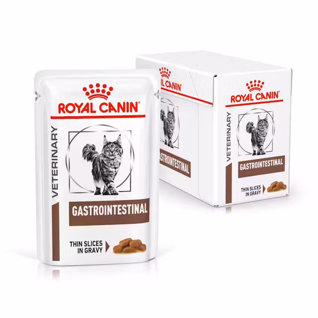Kissat - Royal Canin Gastrointestinal Ohuet Viipaleet Kastikkeessa 85 g (12-pakkaus) - 9003579013557