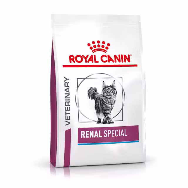 Kissat - Royal Canin Renal Special Dry Food for Cats 400g - 3182550917049