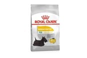 Koirat - Royal Canin Mini Dermacomfort 3kg - 3182550893916
