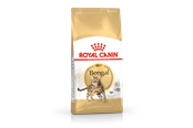 Kissat - Royal Canin Bengal Adult 10kg - 3182550865111