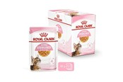 Kissat - Royal Canin Kitten Sterilised Jelly 12 × 85 g - 9003579007167