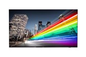 Infonäytöt & Digitaaliset opasteet - Philips 75BFL2214 B-Line Professional Series - 75" LED-backlit LCD TV - 4K - 75BFL2214/12
