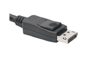 Näyttökaapeli - DIGITUS - DisplayPort cable - DisplayPort to DisplayPort - 3 m - AK-340106-030-S