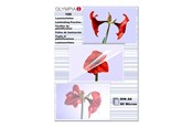 Laminointi - Olympia - 100 kpl - A6 - laminointikalvo - 9168