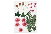 Askartelu- ja taidetarvikkeet - Creativ Company Dried Flowers and Leaves Light Punainen 19 pcs. - 504471