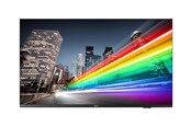 Infonäytöt & Digitaaliset opasteet - Philips 43BFL2214 B-Line Professional Series - 43" LED-backlit LCD TV - 4K - for digital signage - 43BFL2214/12