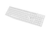 Näppäimistöt - Natec Nautilus - Näppäimistö - QWERTY - US - Valkoinen - Näppäimistö - Englanti (US) - Valkoinen - NKL-1951