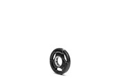 Urheilu & Fitness - Gymstick Rubber Paino Plate 1.25kg / single - RWP-1,25
