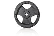 Urheilu & Fitness - Gymstick Iron Paino Plate 15kg - IP-15