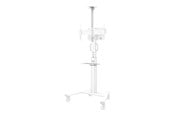 Seinäkiinnitys, AV-kiinnikkeet & AV-kalusteet - Neomounts Select - mounting component - for Kamera / mediabox - Valkoinen - Max 9 kg - recommended for *DEMO* - AFLS-825WH1
