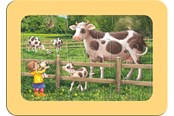Palapelit - Ravensburger Exploring The Farm 3x6p - 05679
