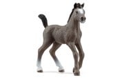 Schleich - Schleich Ranskanpuoliverinen varsa - 13957