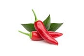 Smart Home - Älykoti - Click & Grow Smart Garden -täyttöpakkaus 3 kpl - Chili Pepper - SGR6X3