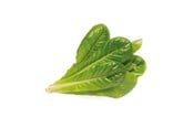 Smart Home - Älykoti - Click & Grow Älypuutarhan täyttöpakkaus 3 kpl - Romaine-salaatti - SGR50X3