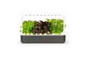 Smart Home - Älykoti - Click & Grow Älypuutarha 9 aloituspakkaus - SG9S8UNI