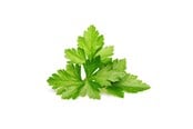 Smart Home - Älykoti - Click & Grow Smart Garden Refill 3-pack - Cilantro/Coriander - SGR45X3