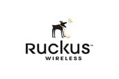 Palvelu ja tuki  - Ruckus Wireless Ruckus loppukäyttäjän WatchDog Premium -tuki - 801-CLP1-010K