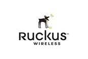 Palvelu ja tuki  - Ruckus Wireless Ruckus-kumppani WatchDog Premium -tuki - 827-H510-3000