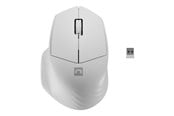 Hiiret - Natec Siskin 2 - mouse - 2.4 GHz Bluetooth 5.0 - Valkoinen - Hiiri - Optinen - 3 painiketta - Valkoinen - NMY-1972