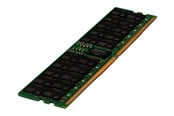 RAM - Hewlett Packard Enterprise E SmartMemory - DDR5 - module - 64 GB - DIMM 288-pin - 4800 MHz / PC5-38400 - Rekisteröity - P50312-B21