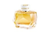 Parfyymit & Tuoksut - Mont Blanc Signature Absolue Eau de Parfum 90 ml. - MB024A01
