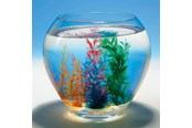 Lelut - Goki Magic Shell 1pc. - 60836