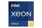 CPU - Intel Xeon Gold 6328HL / 2.8 GHz processor - OEM CPU - 16 ydintä - 2.8 GHz - Intel LGA4189 - Bulk (Ilman jäähdytintä) - CD8070604481301