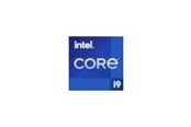 CPU - Intel Core i9 12900TE / 1.1 GHz processor - OEM CPU - 16 ydintä - 1.1 GHz - Intel LGA1700 - Bulk (Ilman jäähdytintä) - CM8071504619115