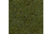 Kalat - SERA Sera Flora Nature 1000ml - 914576