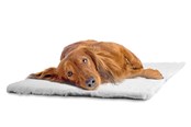 Koirat - Dogman Karvamatto harm 75x60cm - 810060