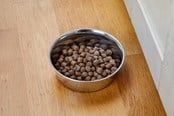 Koirat - Dogman Heavy Ruostumaton Teräskuppi Metalli 800ml - 369629