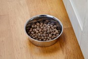 Koirat - Dogman Heavy Ruostumaton Teräskuppi Metalli 450ml - 369627