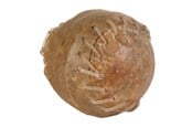 Koirat - Trixie Chew ball 8cm - TX2673