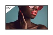 Infonäytöt & Digitaaliset opasteet - Sony Bravia Professional Displays FW-65BZ40L BZ40L Series - 65" LED-backlit LCD display - 4K - for digital signage - FW-65BZ40L
