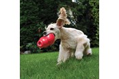 Koirat - KONG Dog Toy Bounzer Medium 15cm - 340374