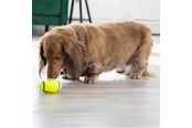 Koirat - KONG Koiran lelu AirDog Squeaker Football Small 8cm - 340528