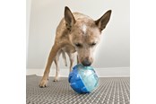 Koirat - KONG Dog Toy Rewards Ball Large 12cm - 340740