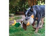 Koirat - KONG Dog Toy Shakers Honkers Duck Large 45cm - 340777