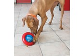 Koirat - KONG Dog Toy Gyro Small 14cm - 340808