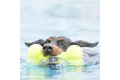 Koirat - KONG Koiran lelu AirDog Squeaker Bone 11cm - 340912