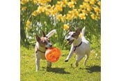 Koirat - KONG Dog Toy Jumbler Ball Medium/Large 14cm - 340917