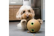 Koirat - KONG Dog Toy Bamboo Feeder Dumbbell M - 340925