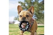 Koirat - KONG Dog Toy Extreme Ring XL 13cm - 340926