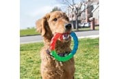 Koirat - KONG Dog Toy Twistz Ring Small 17cm - 340938